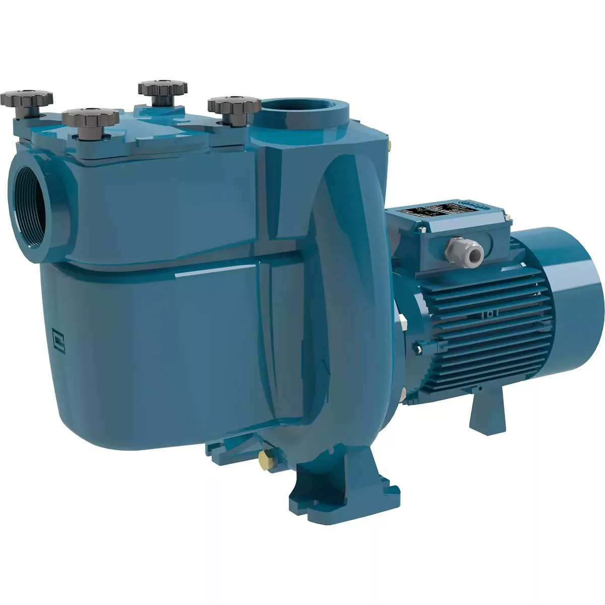 Calpeda NMP 2 Self-priming water pumps