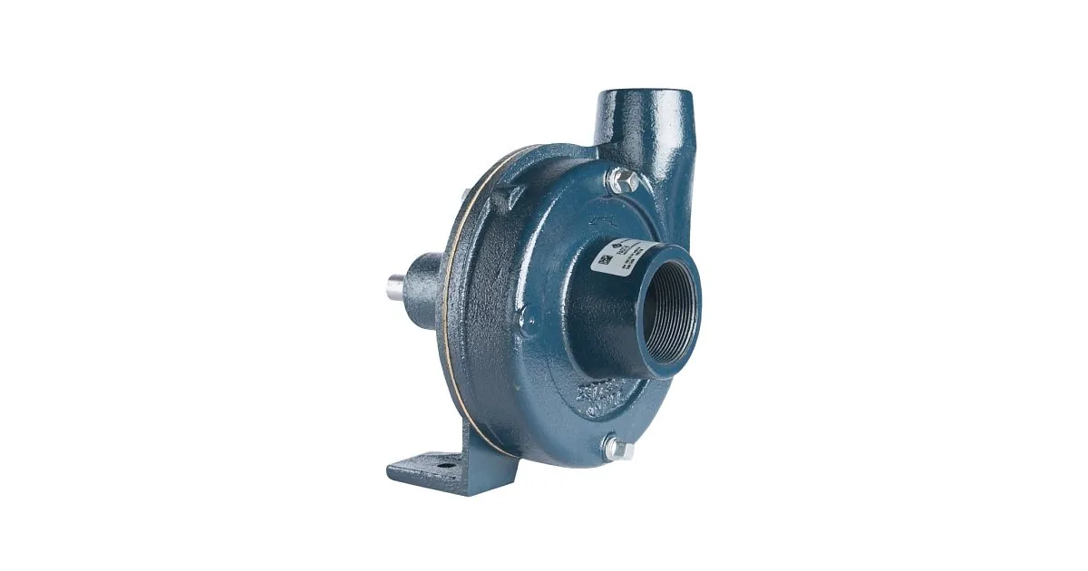 Franklin Electric FAOT Series Frame Mount Centrifugal Pump