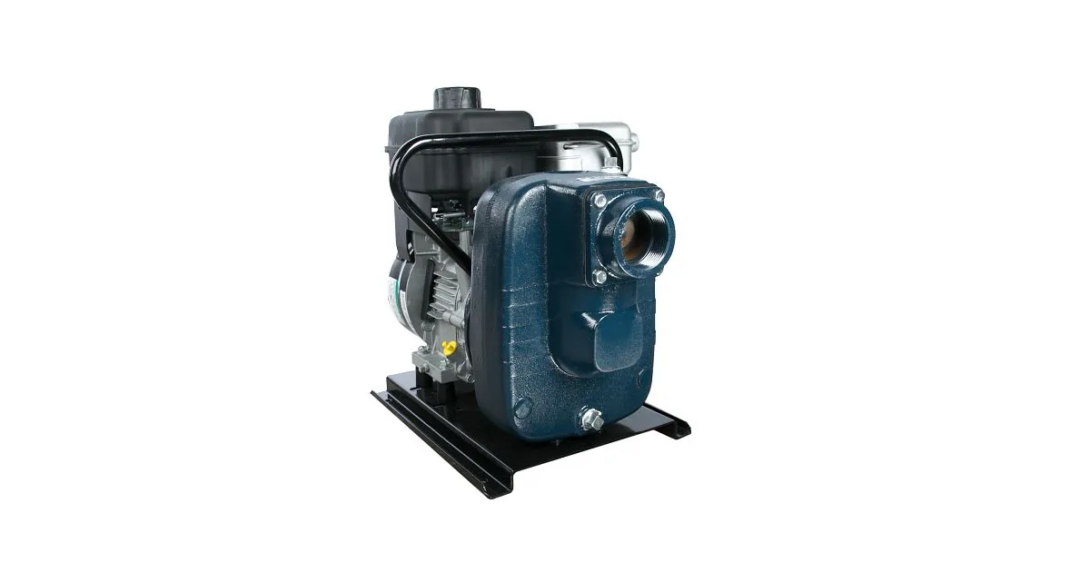 Franklin Electric FNSGF GAS ENGINE DRIVEN SELF PRIMING PUMP Self-priming water pumps